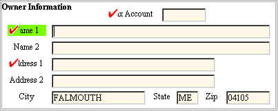 Invalid Fields